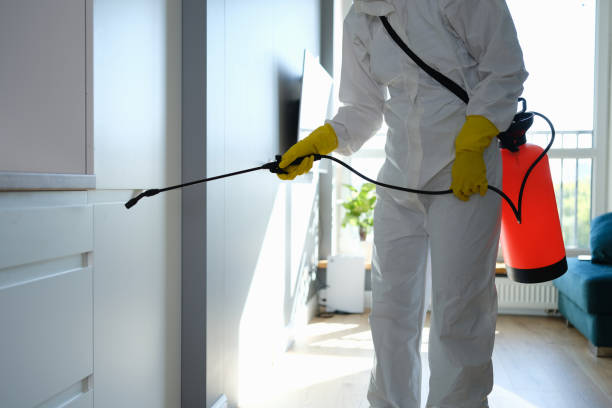 Best Biohazard Mold Removal  in La Croft, OH