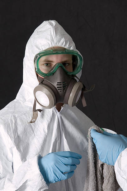 Mold Odor Removal Services in La Croft, OH